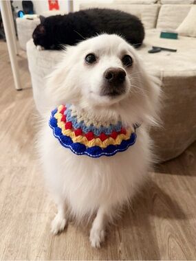 Handmade Crochet Dog Collar Ruffle - Blue, Red, Yellow